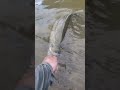 River tine is the best time fishing fishingmethods kayakangler fishingtechniques