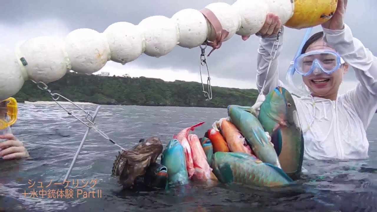 【沖永良部島】シュノーケリング＋水中銃体験 Part Ⅱ