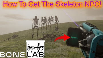 How to get the Normal Skeleton NPC in Bonelab!