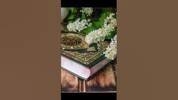 القرآن الكريم غذاء الروح #آل_ياسين #اكسبلور #لايك #راحة_نفسية