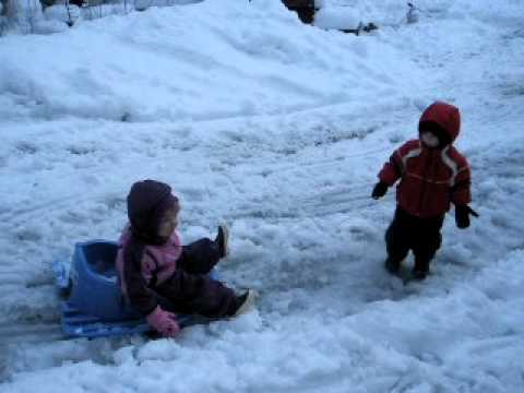 sledding in seward