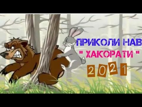 мултики нав бо забони точики (ҳакорат😂)