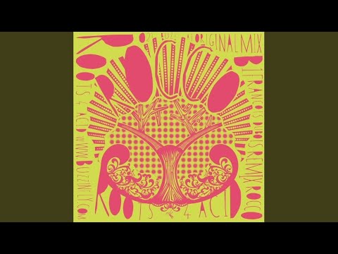 DJ Rocco — Roots 4 Acid