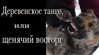 Chivon Aders  &quot;Деревенское танго&quot;