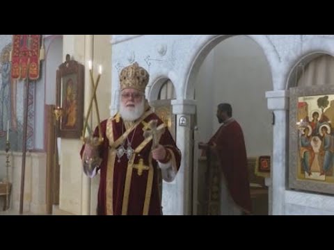 რა ქონებას და საიდან ფლობს გავლენიანი მღვდელმსახური, პატრიარქის ძმის შვილი მეუფე დიმიტრი