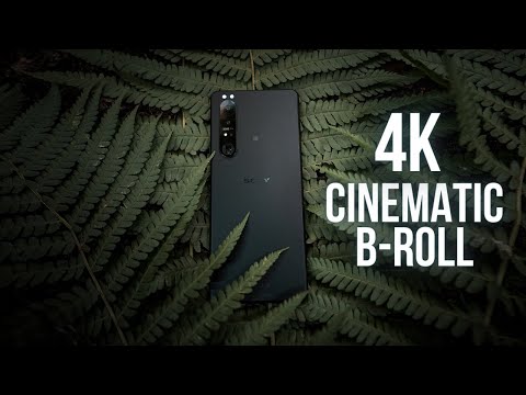 Xperia 1 III - Cinematic Nature B-Roll with a Phone?