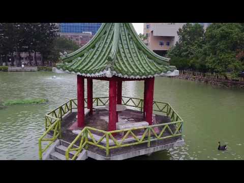 2017臺大杜鵑花