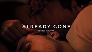 Harry & Adam | Already Gone Resimi