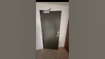 Fix a Squeaky Door in Seconds! WD-40 Pro Tip with Ricky #contractortips #diy #handyhacks #tooltips