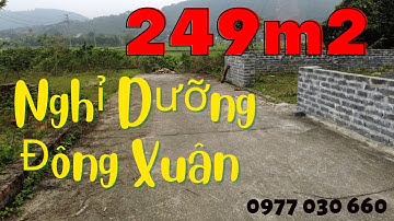Bán 249m2 đất nghỉ dưỡng Đông Xuân Quốc Oai – Bán đất Hòa Lạc – 0977030660