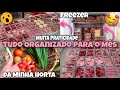 Tudo Organizado para 1 Mês😱 | Organização da alimentação | Valor Total | Receitinhas Colheita e Mais