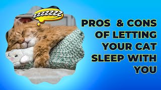 Pros and Cons of Sharing Your Bed with your cat.