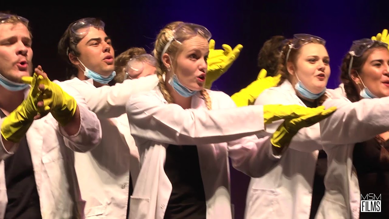 Bingle sêr 2019 Villagers & Bellatrix