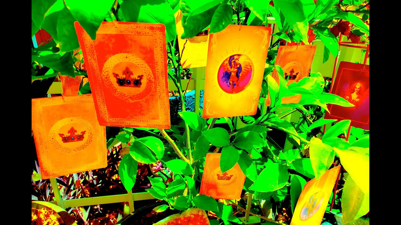 HELP LOVE GROW (with your person or someone new) 🍀 Pick A Card Psychic Love Tarot Soulmate Reading 💕