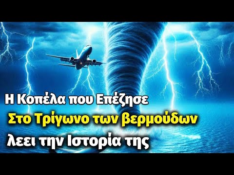 Η Επιζήσασα του