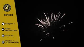 Genesis by Zeus Fireworks @fireworkcrazy