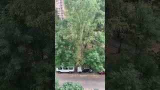 Кому там мотоциклы спать мешают?