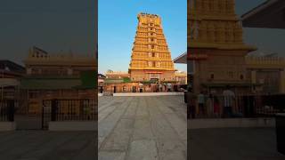 മൈസൂർ ചാമുണ്ഡി ഹിൽസ് #mysore #chamundihill #tourist #travel #viralshorts