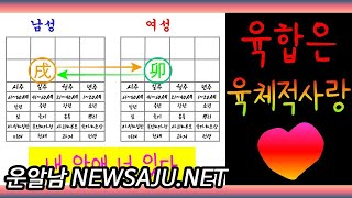 사주 공부 기초 # 9 / "지지 육합은" 남녀 육체적 사랑 ( 찰떡궁합!)