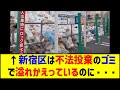 新宿区は既に不法投棄のゴミで溢れかえっている。家庭用ゴミが有料化になんてなったなら、金払いたくない不法投棄するやつがさらに爆増するだけ。