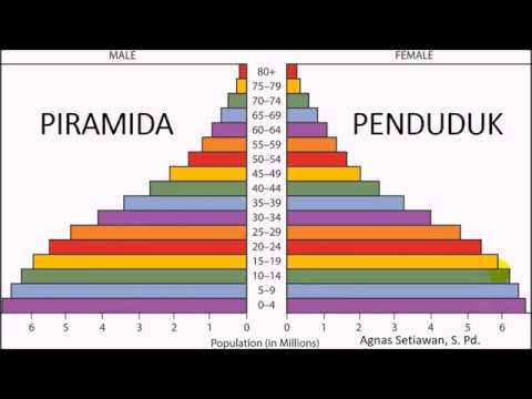 Piramida Penduduk Ekspansi, Stasioner, Konstruktif