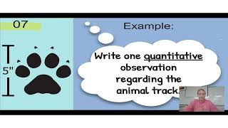 Observation and Inference Notes
