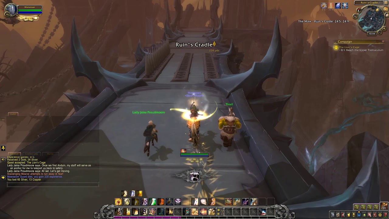 Shadowlands Quest 11: The Lion's Cage (WoW, human, Paladin)