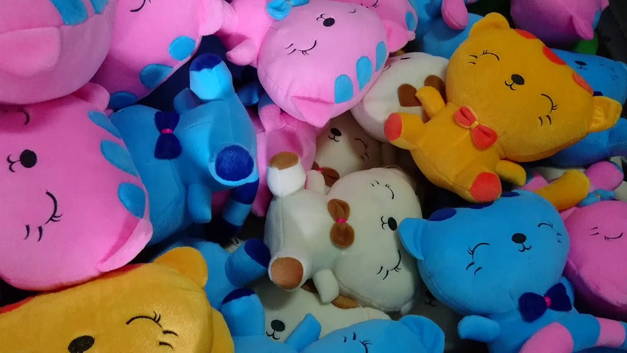Karakter Kucing Dari Mengenal Jenis Emas