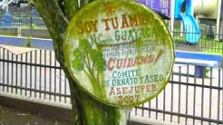 Lonely Planet Panama Panama Trip  - Durasi: 17:04. 
