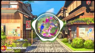 NHẠC EDM ĐÓN TẾT TÂN SỬU 2021 ♫ Xua Tan Mỏi Mệt Những Ngày Cuối Năm\Một Giờ EDM Thư Giãn Gây Nghiện