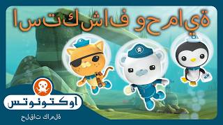 أوكتونوتس | 🤿🐠 استكشاف المحيطات المختلفة 🪸🌊 | حلقات مجمعة