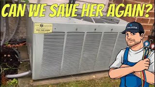 Stubborn Homeowner Won’t Replace! Ancient Rheem Central AC Outdoor Unit Not Cooling  It’s All Dead!