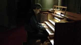 Harry Potter Theme - organ by Antonino Buschiazzo