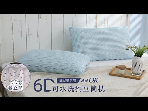 6D可水洗獨立筒枕