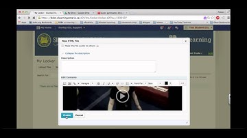 Submitting Video Using Drive in D2L