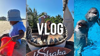 #vlog | Wholesome Weekend In Durban| Ushaka Marine World| Dolphin show| beach|South African YouTuber