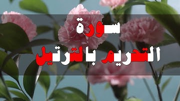 سورة التحريم تلاوة رائعة بصوت خاشع للشيخ القاريء "عمر قطب"