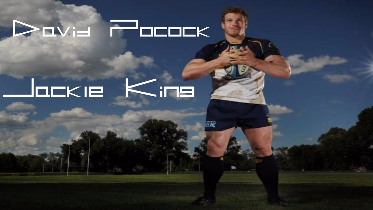 David Pocock- The Jackle King- Best trys, tackles and turn overs ||HD||