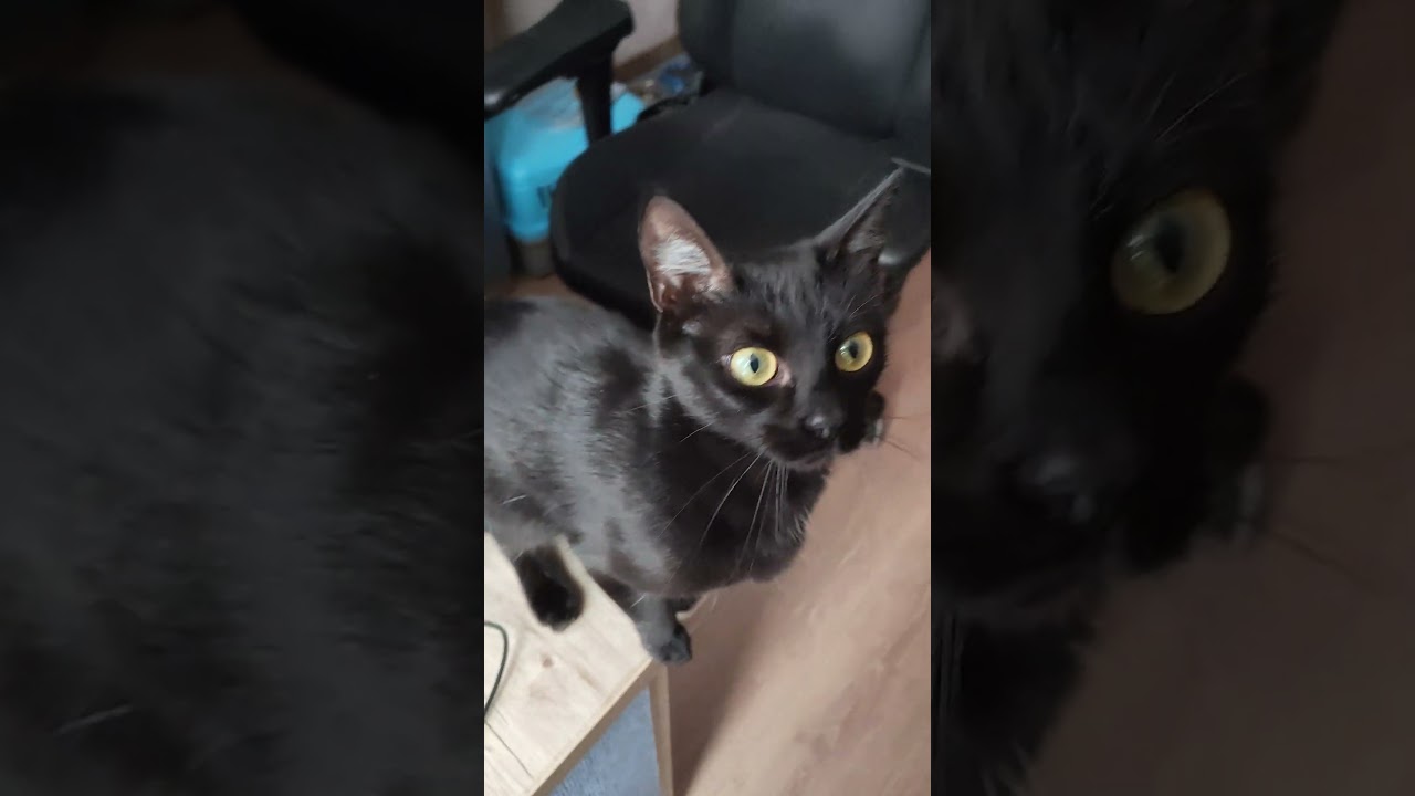 В такую погоду я только спаточки ) 