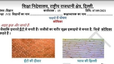 कक्षा:7 विषय: विज्ञान कार्यपत्रक:15 तिथि:07-09-2021