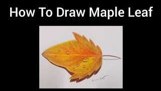Realistic Autumn Leaf Drawing With Water Drops 🍁 | Color Pencil Art 🎨