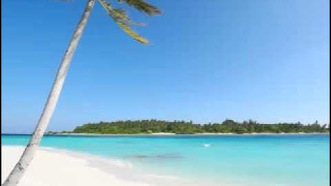 How to Deal with Women in View of The Salaf (Advice to The Men)  