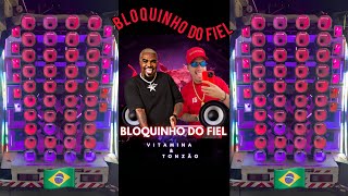 BLOQUINHO DO FIEL VITAMINA Ft MC TONZAO LANCAMENTO 2025