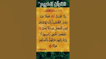 #سورة_إبراهيم #صلاح_بوخاطر #القرآن_الكريم #المصحف #اكسبلور #duet #دويتو #quran #تيك_توك