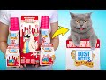 Ouverture de nouveaux jouets lost kitties  qui est cach  lintrieur  