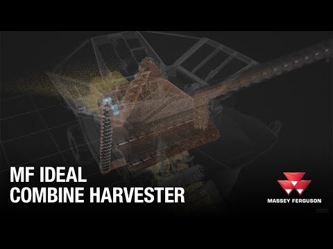 Discover Why IDEAL Is The Best Choice (English)