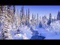 Зимний лес #Шопен #Пейзажи #Чарующая музыка для души