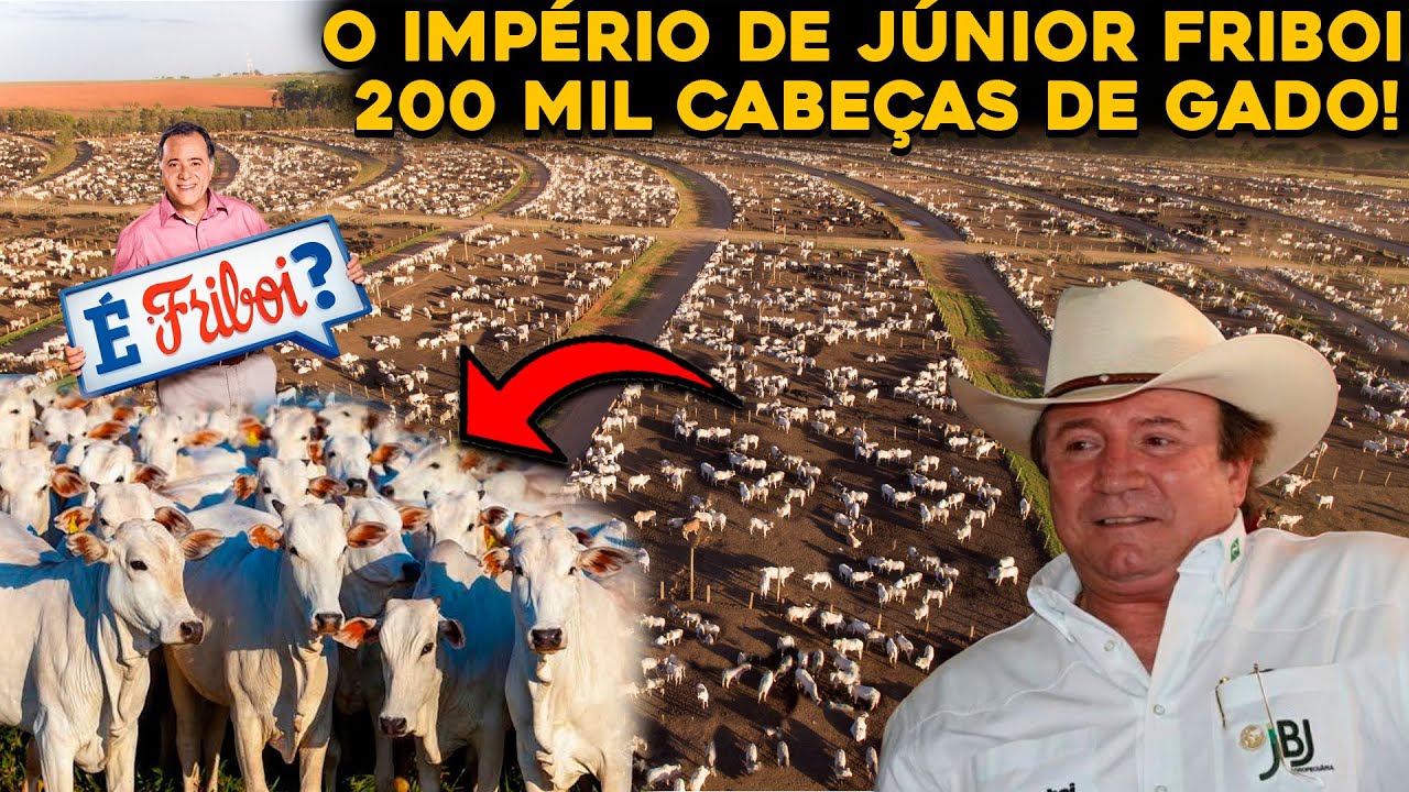 O IMPÉRIO RURAL DE JUNIOR FRIBOI – 11 FAZENDAS DE GADO EM TODO BRASIL!