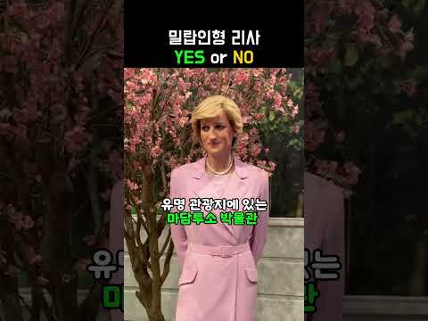 밀랍인형 리사 YES or NO