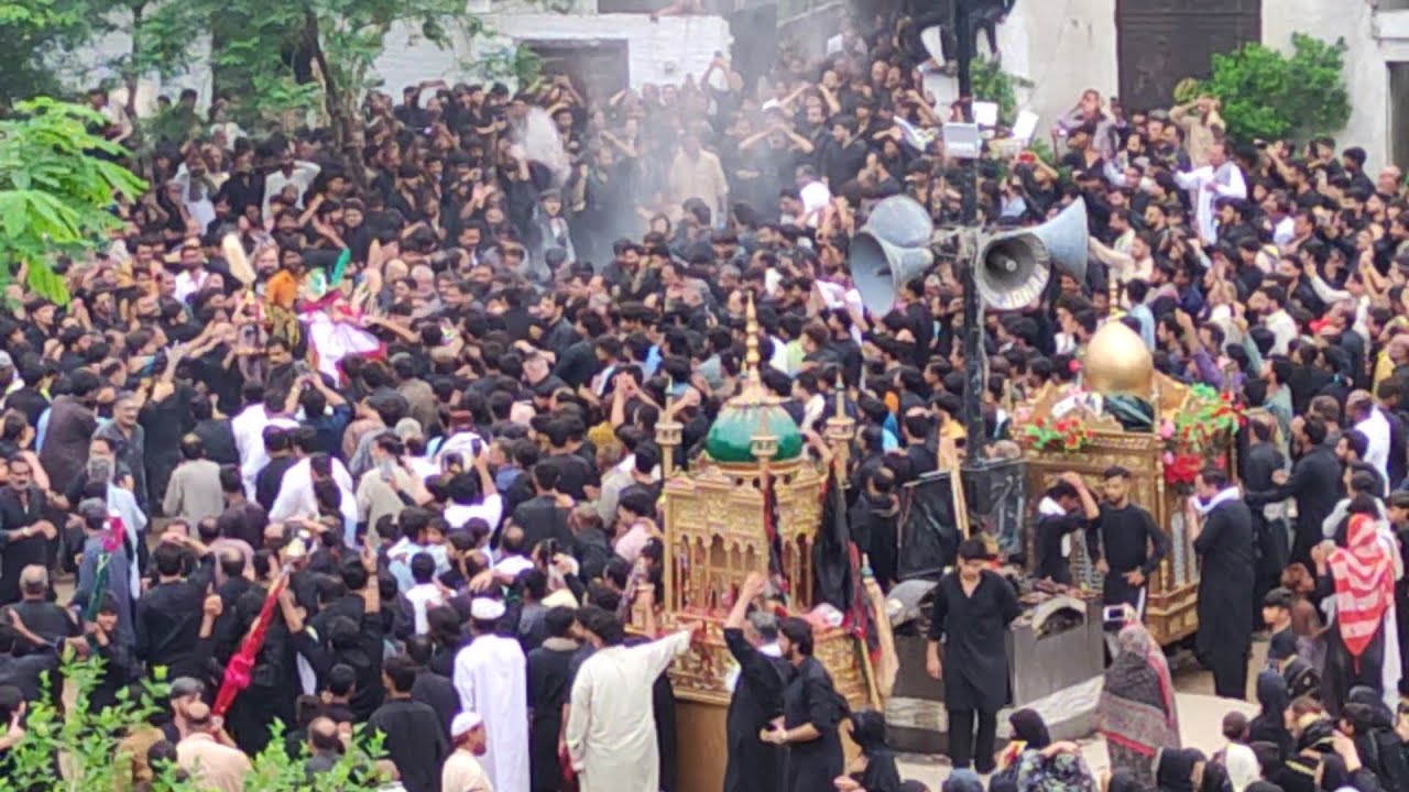 Baramdagi Shabih e Zuljinnah||Gulistan e Marfat Gujranwala||10 Muharram Markazi Jaloos||6-7-2025